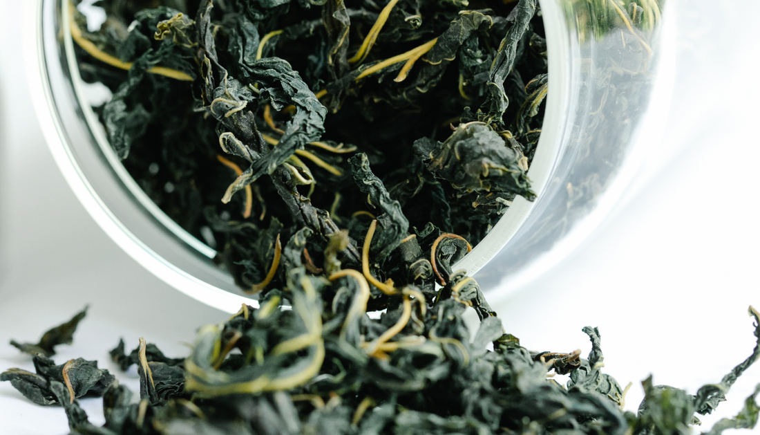 How do you store aged Oolong tea to keep it flavorful for years?