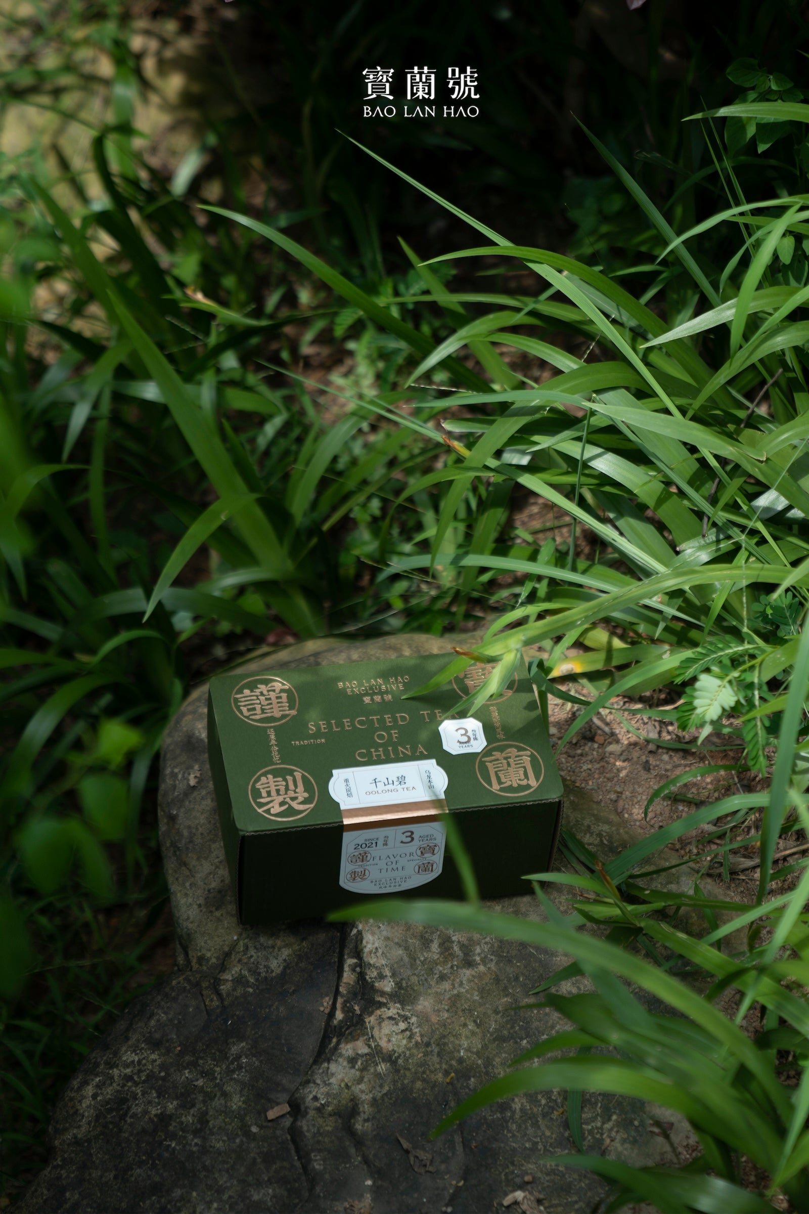 Green tea box resting on gray stone in tall grass