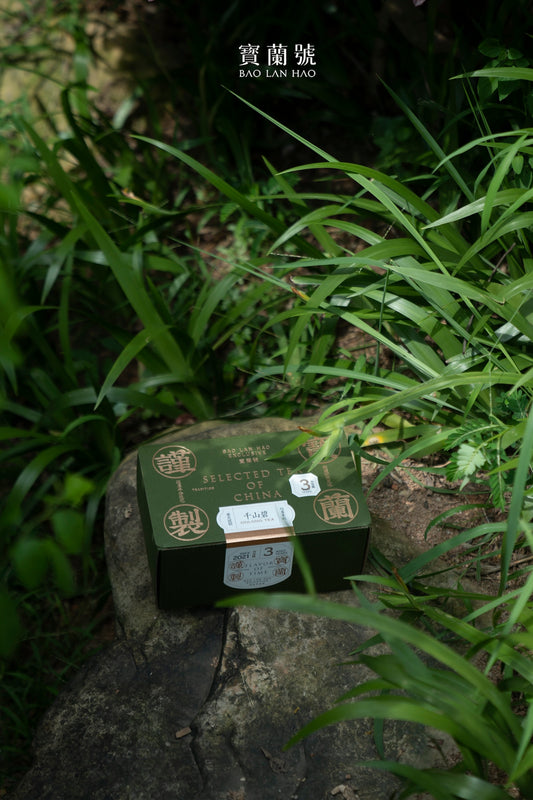 Green tea box resting on gray stone in tall grass