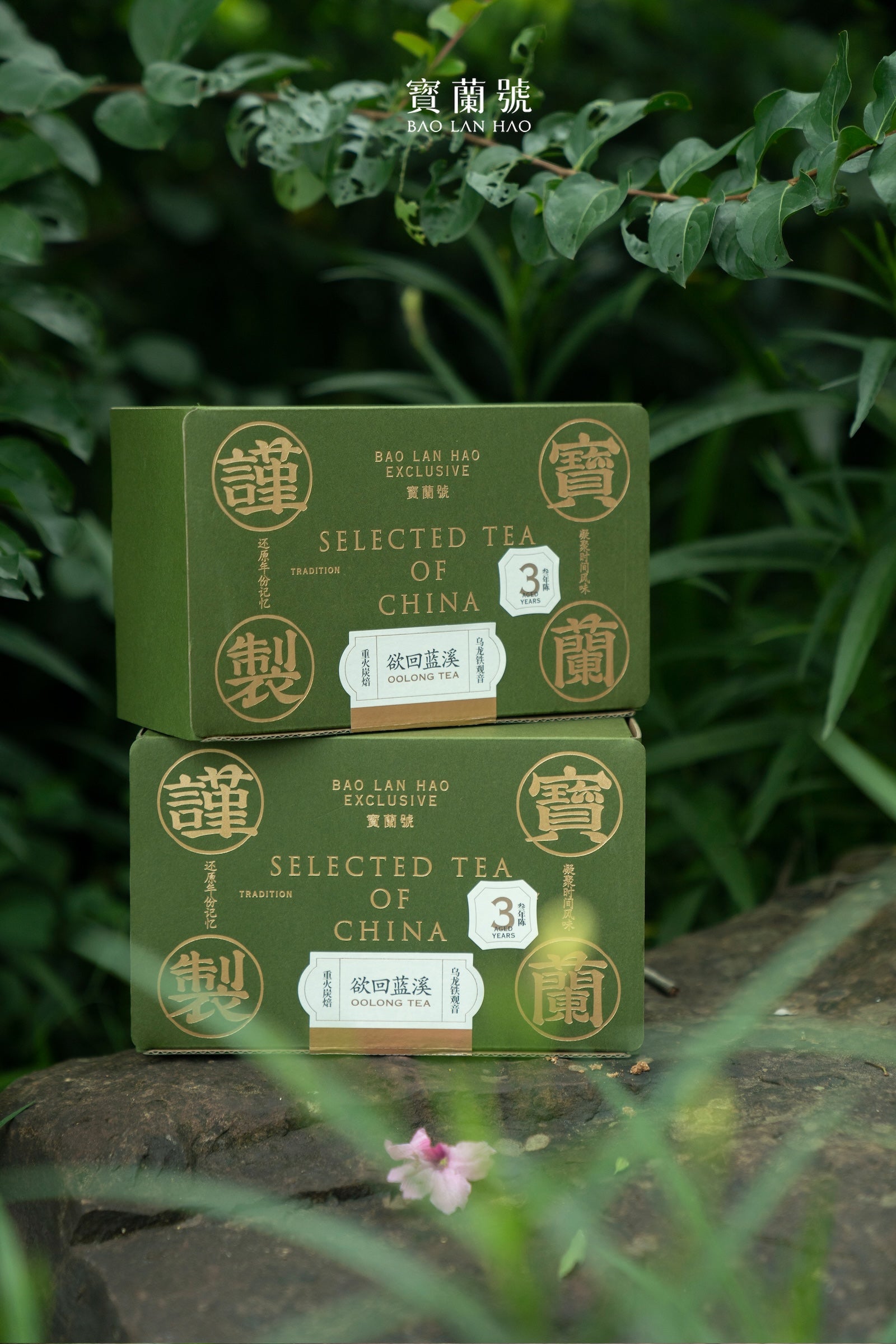 Green tea carton boxes stacked, BAO LAN HAO Selected Tea of China Oolong Tea