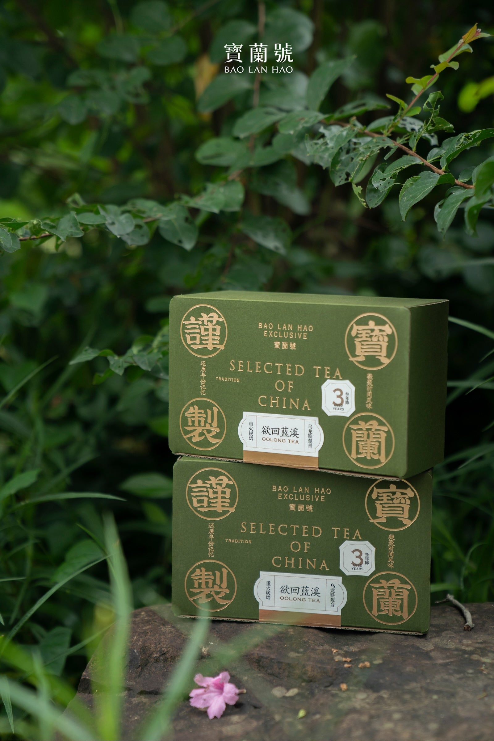 Green tea carton box stack, BAO LAN HAO Selected Tea of China with Oolong Tea label