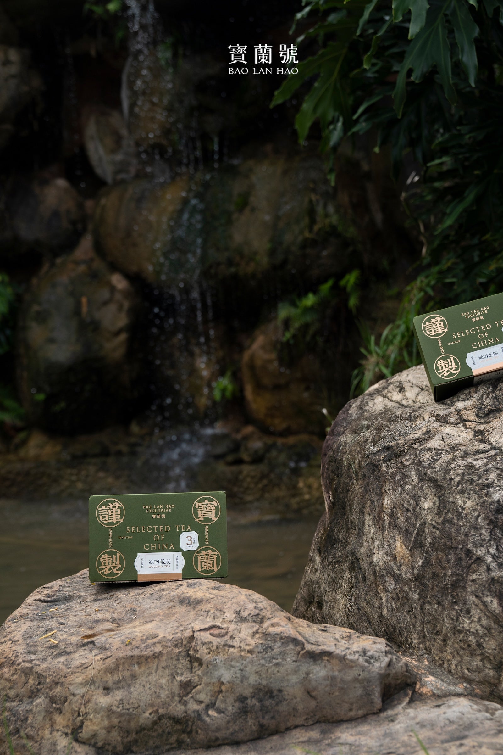 Green tea carton boxes on rocks, BAO LAN HAO Selected Tea of China branding